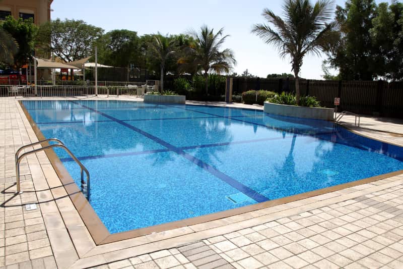 A large rectangular pool with dark lane lines, a metal handrail, tiled paving and palm trees behind