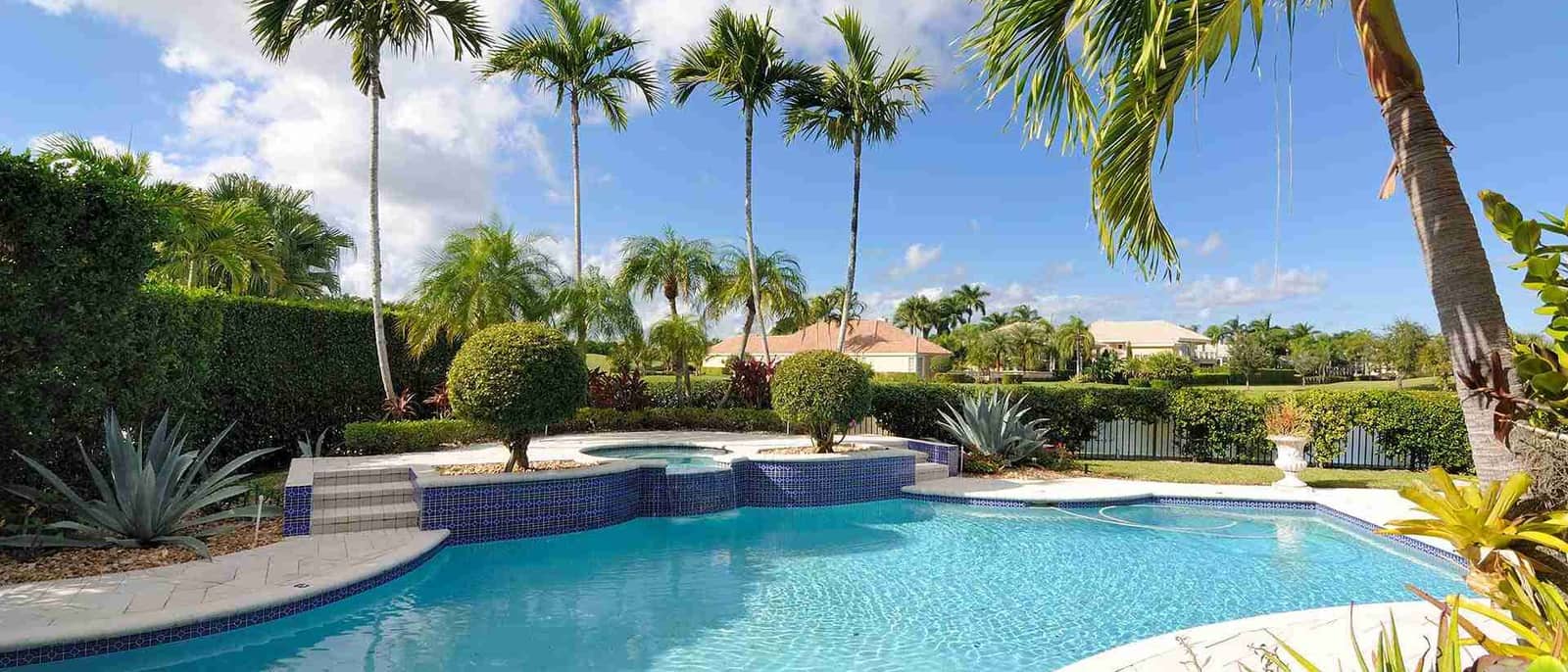 A swimming pool and spa surrounded by palm trees and garden plants under a blue sky with a few clouds
